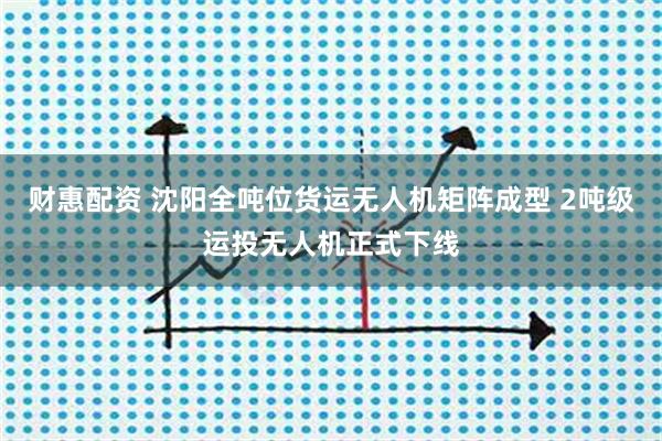 财惠配资 沈阳全吨位货运无人机矩阵成型 2吨级运投无人机正式下线