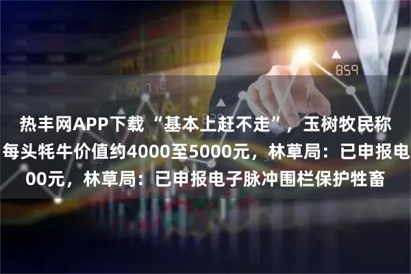 热丰网APP下载 “基本上赶不走”，玉树牧民称牦牛被藏马熊咬死，每头牦牛价值约4000至5000元，林草局：已申报电子脉冲围栏保护牲畜