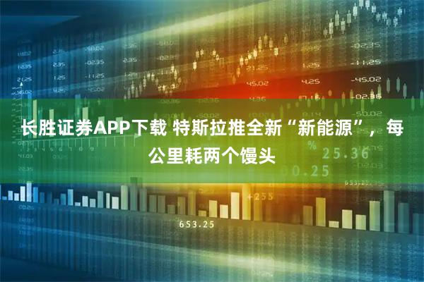 长胜证券APP下载 特斯拉推全新“新能源”,每公里耗两个馒头