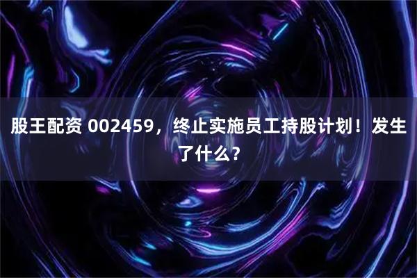 股王配资 002459，终止实施员工持股计划！发生了什么？